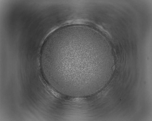 X0000073841166200608170959