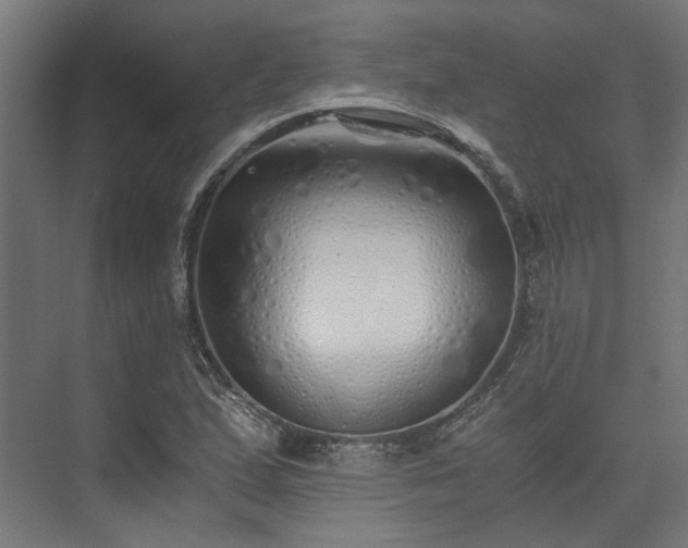 X0000073841167200608170959