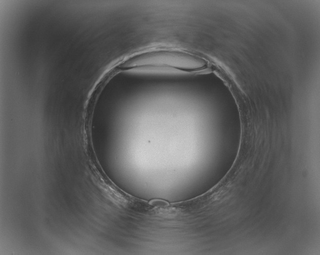 X0000073841168200608170959