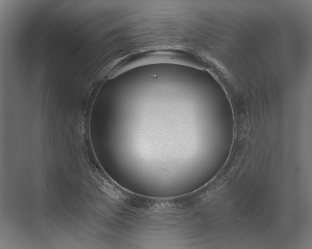 X0000073841169200608170959