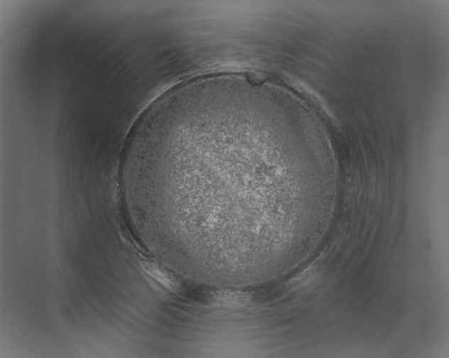 X0000073841170200608170959