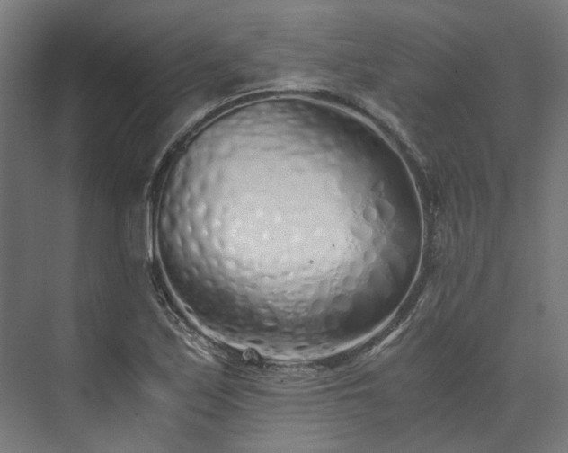 X0000073841171200608170959