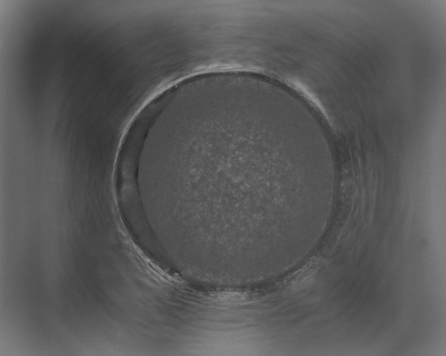 X0000073841173200608170959