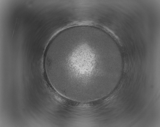 X0000073841174200608170959