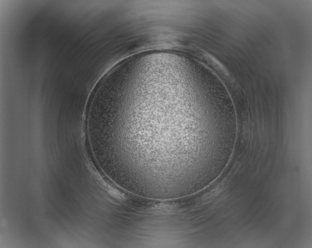 X0000073841178200608170959