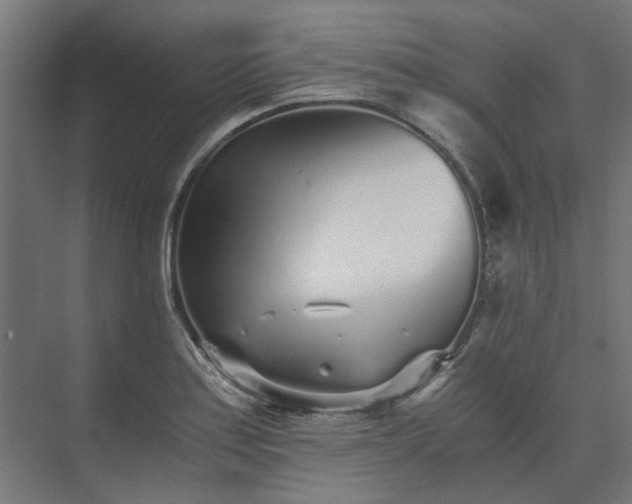 X0000073841179200608170959