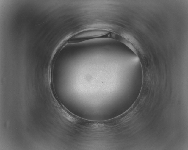 X0000073841180200608170959