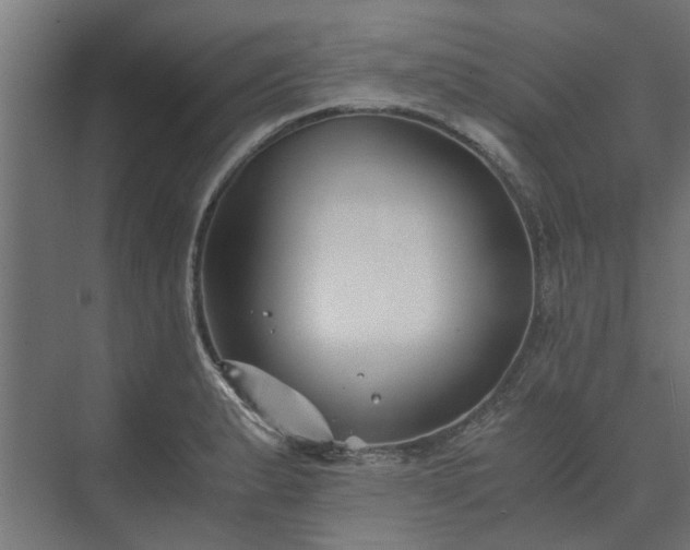 X0000073841183200608170959