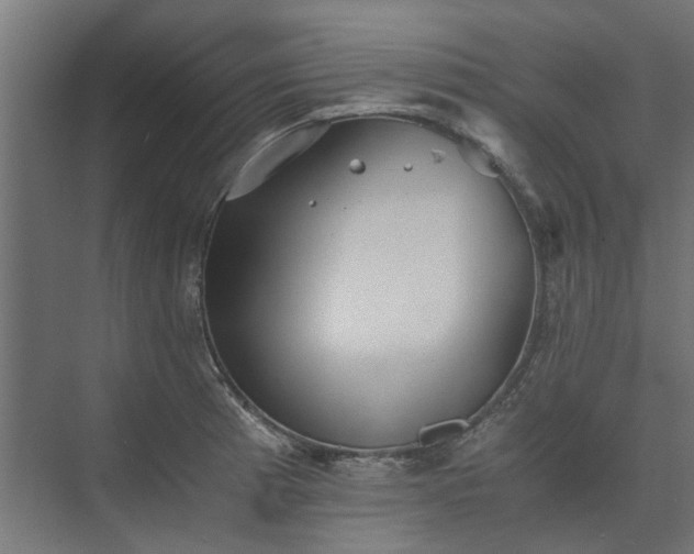 X0000073841185200608170959