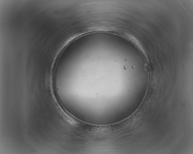 X0000073841187200608170959