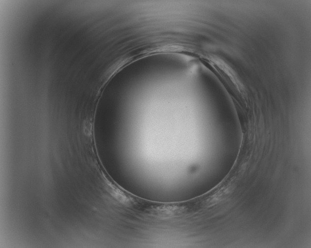 X0000073841193200608170959