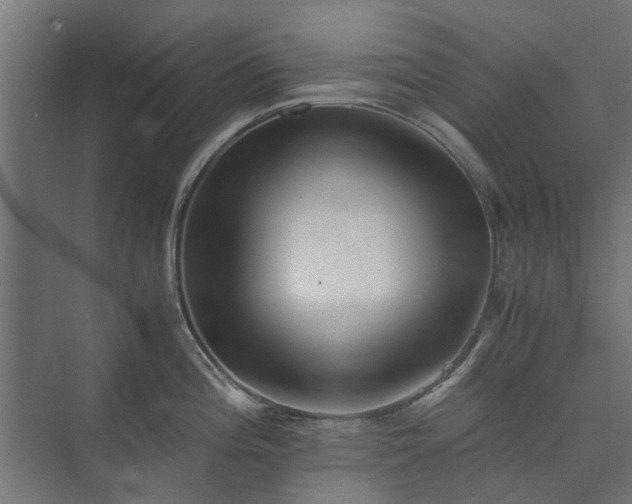 X0000073841196200608170959