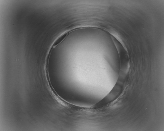 X0000073841197200608170959