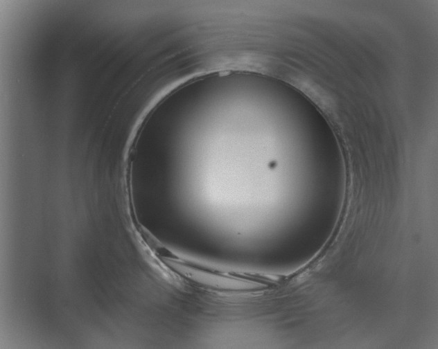 X0000073841200200608170959