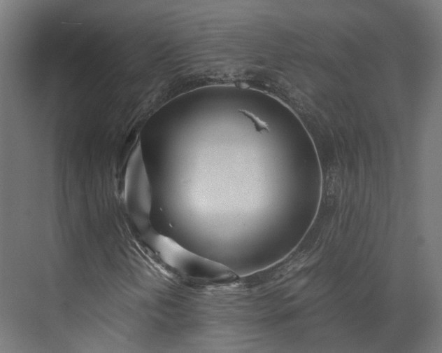 X0000073841202200608170958