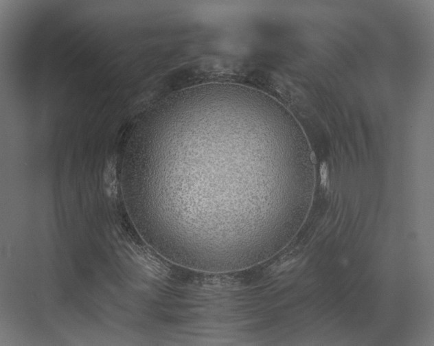 X0000073841203200608170958