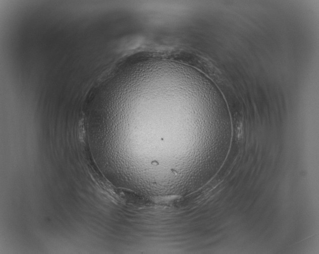 X0000073841204200608170958