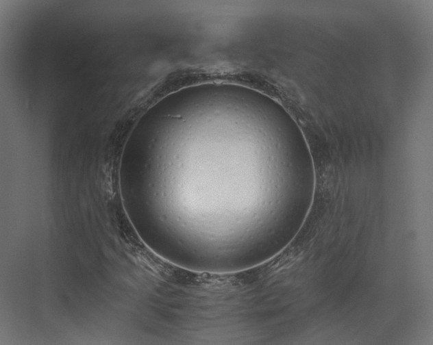 X0000073841205200608170958