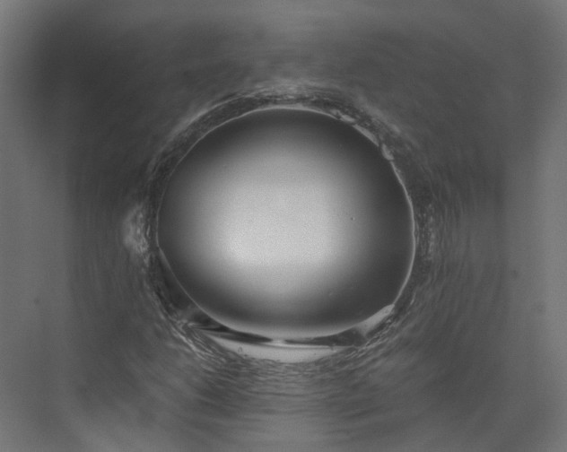 X0000073841206200608170958