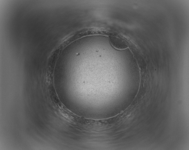 X0000073841207200608170958