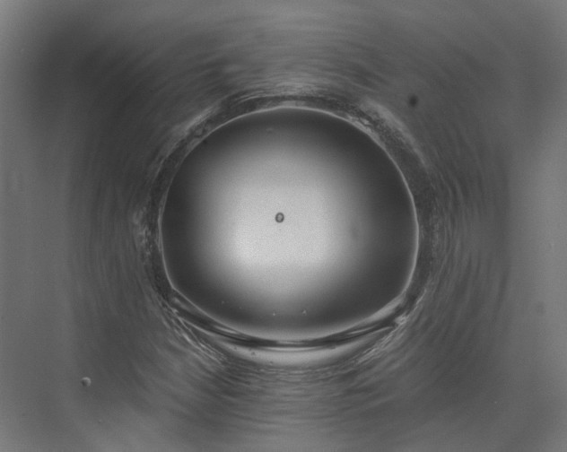 X0000073841210200608170958