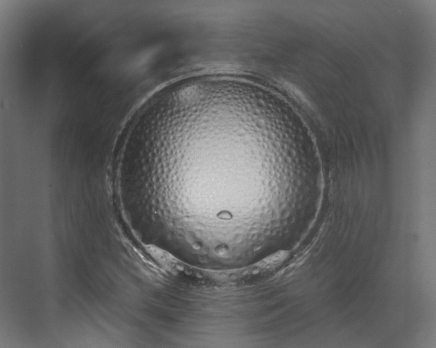 X0000073841212200608170958