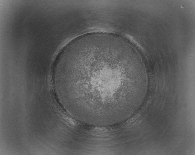 X0000073841215200608170958