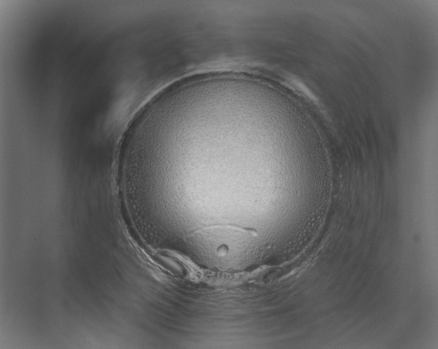 X0000073841216200608170958