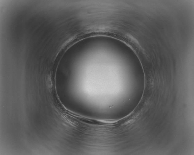 X0000073841218200608170958