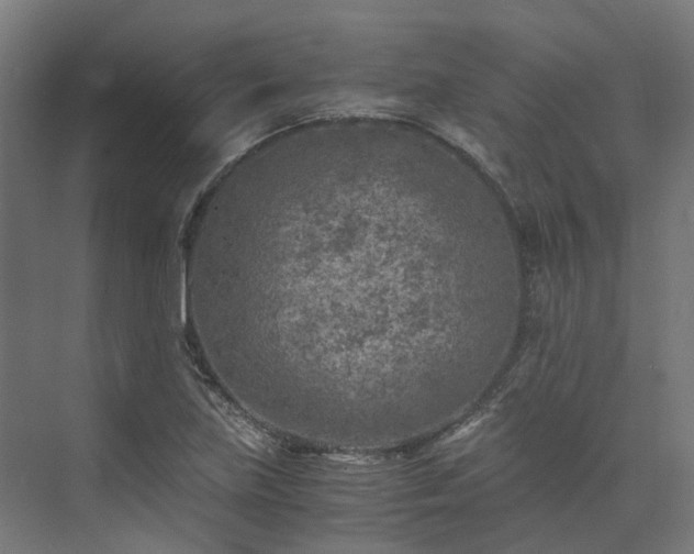 X0000073841219200608170958