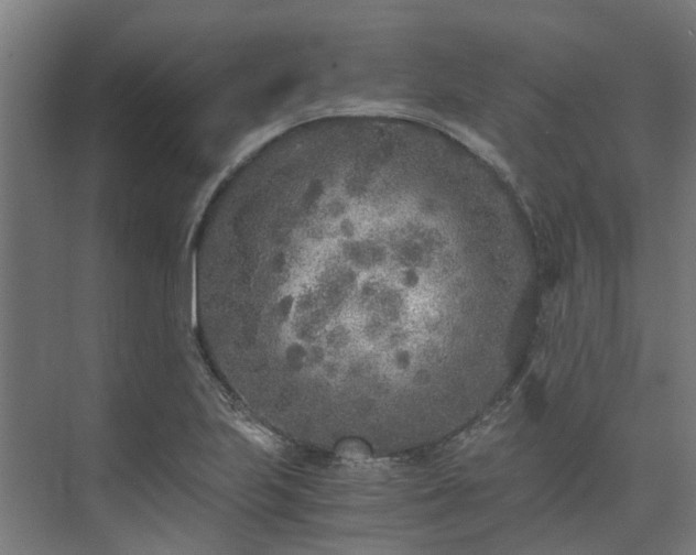 X0000073841223200608170958