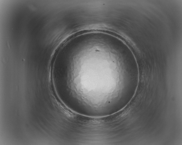 X0000073841224200608170958