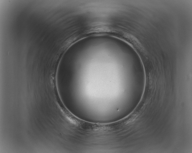 X0000073841225200608170958