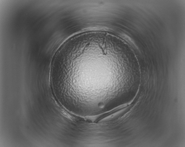 X0000073841228200608170958