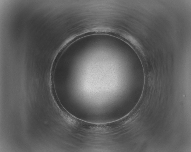 X0000073841229200608170958