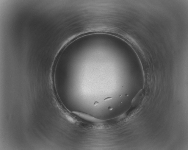 X0000073841230200608170958