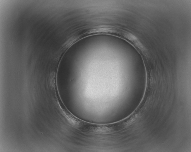 X0000073841233200608170958