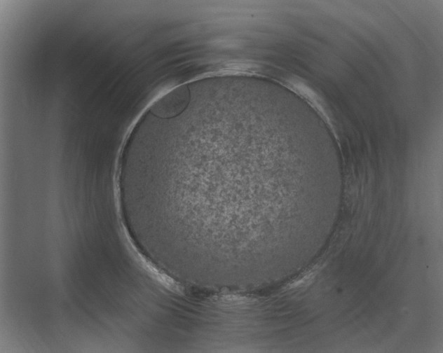 X0000073841235200608170958