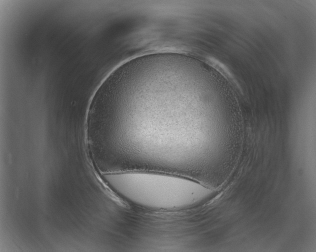 X0000073841236200608170958