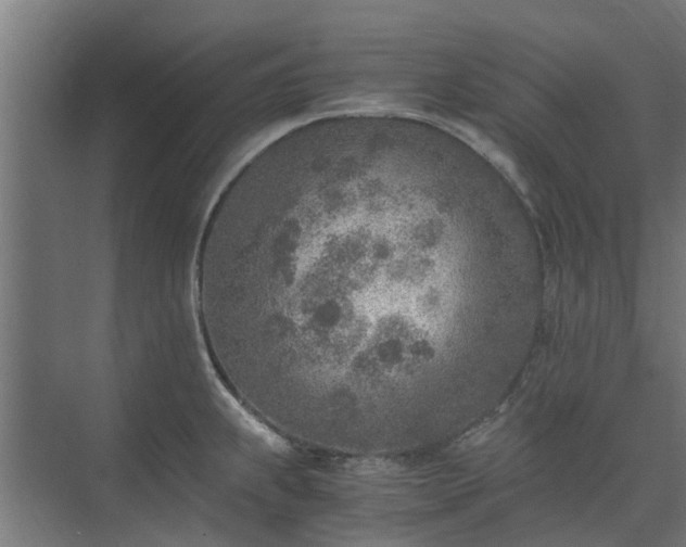 X0000073841239200608170958