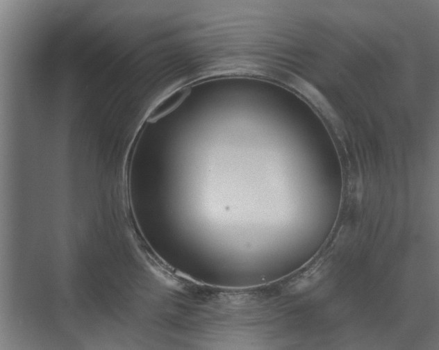 X0000073841242200608170958