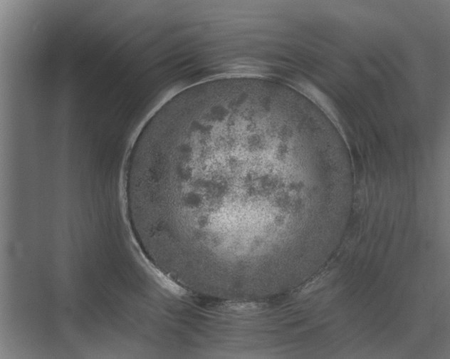 X0000073841243200608170958