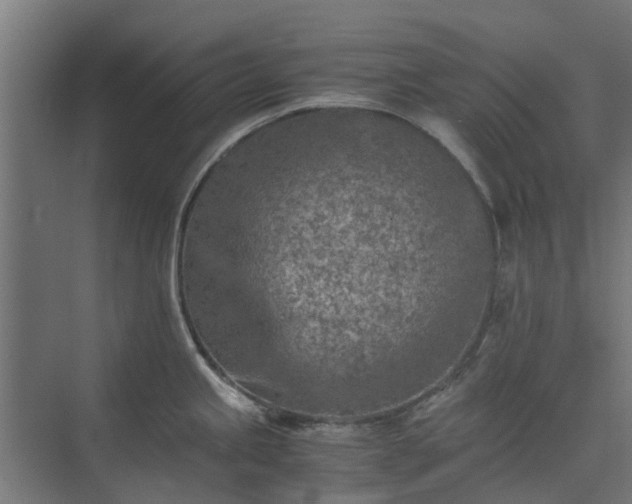 X0000073841245200608170958