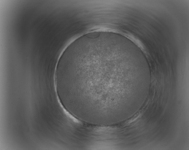 X0000073841247200608170959