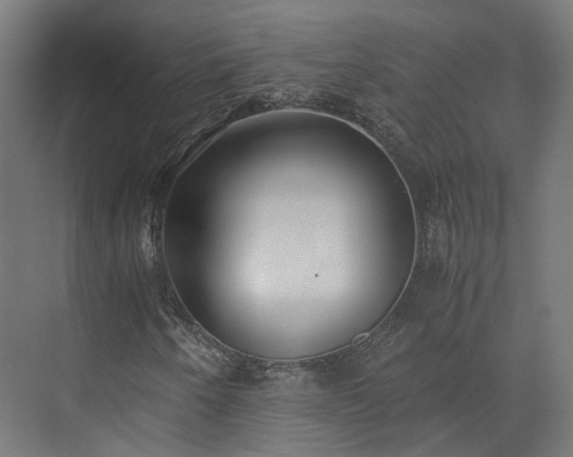 X0000073841250200608170958