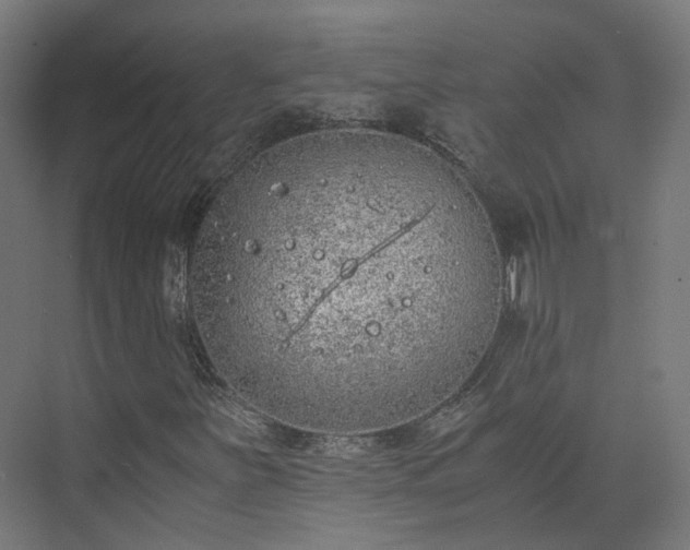 X0000073841251200608170958