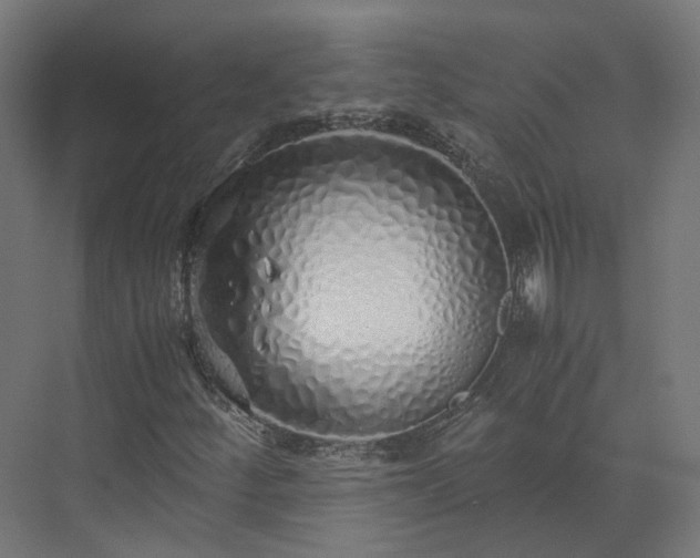 X0000073841252200608170958