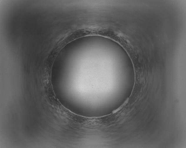 X0000073841253200608170958