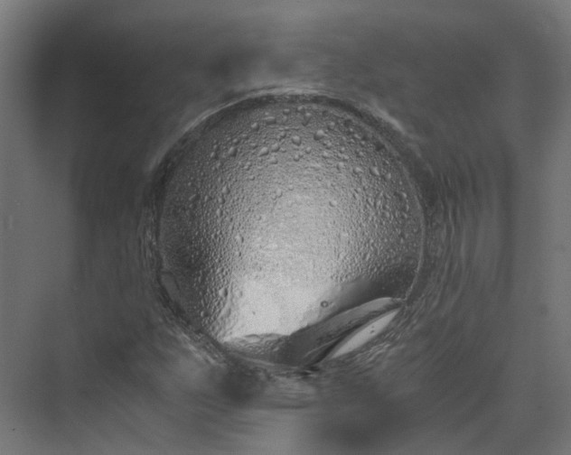 X0000073841255200608170958