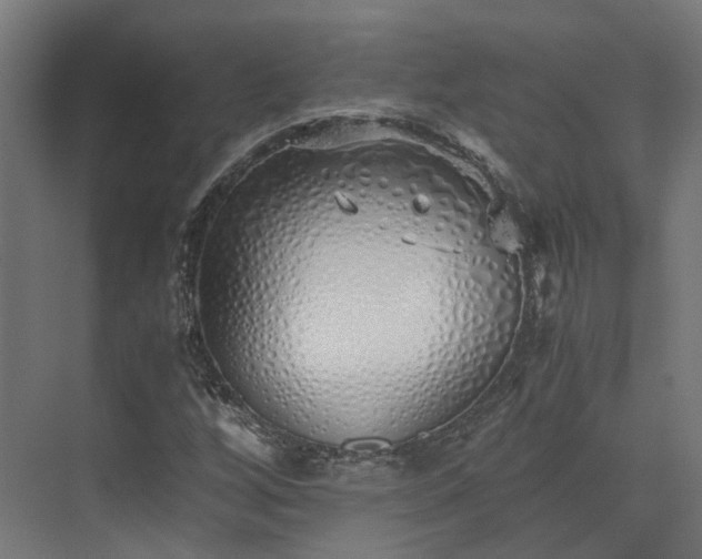 X0000073841256200608170958